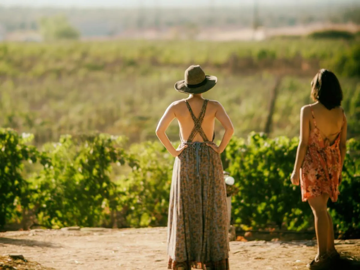 Farm stay Vasari Villa Santa Lucia del Mela